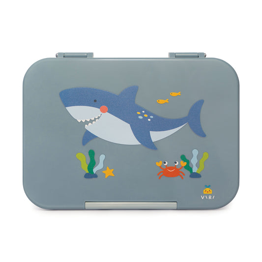 Shark Compartment Lunchbox Blue